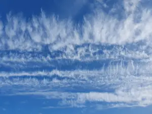 Annelies 09 Windveren